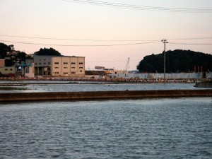 IMG_6944 (1)